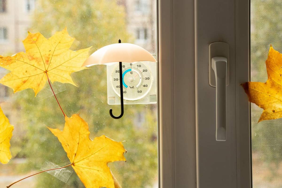 O umbrelă mică atârnă deasupra unui termometru de pe fereastră, iar frunzele de arțar sunt lipite de fereastra din apartamentul de lângă umbrelă, vreme de toamnă