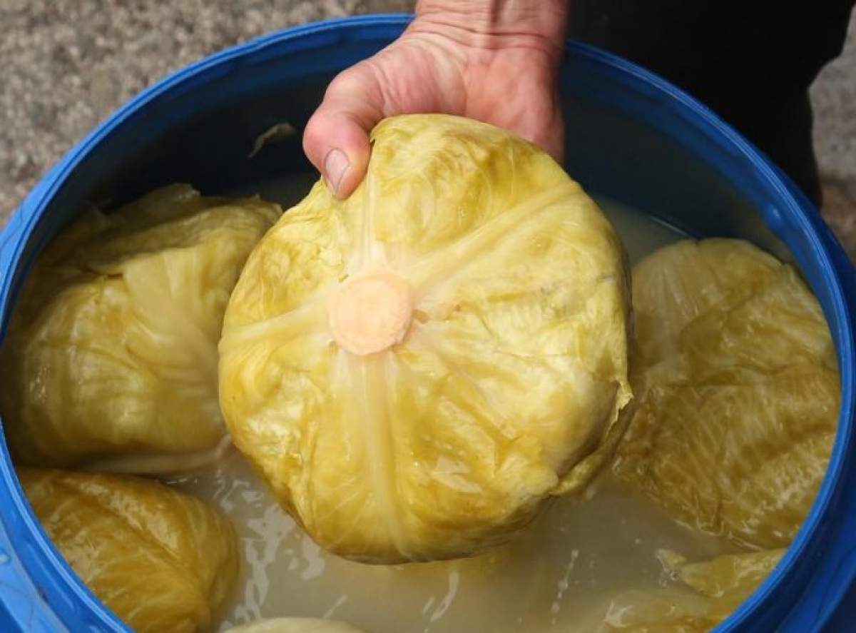 varză murată