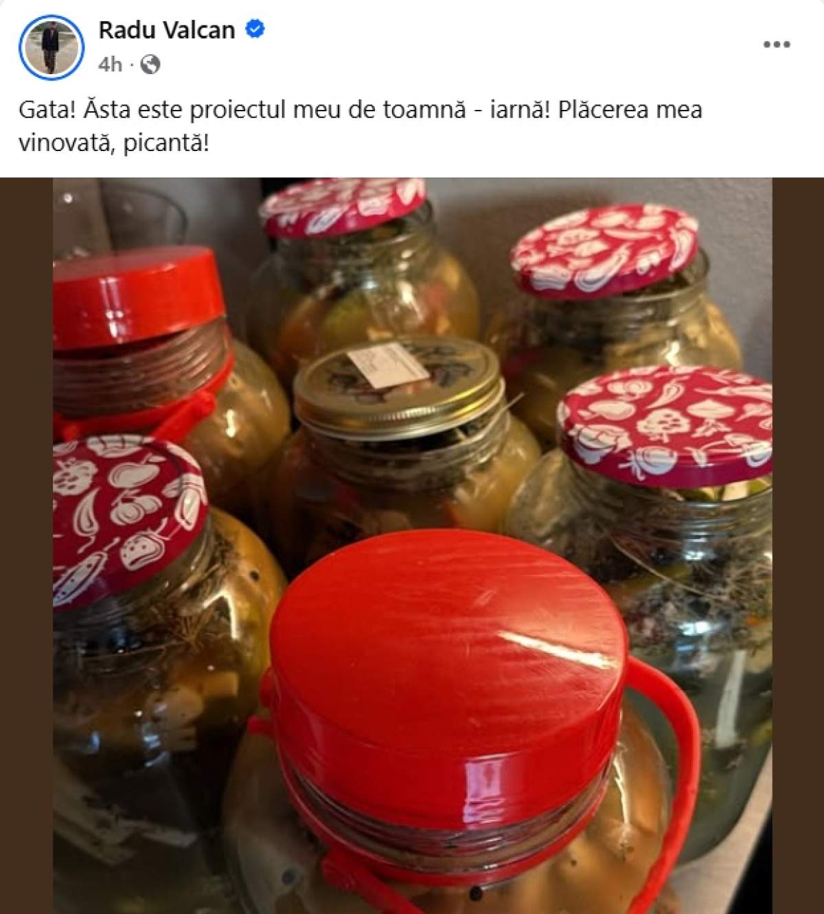 borcane muraturi