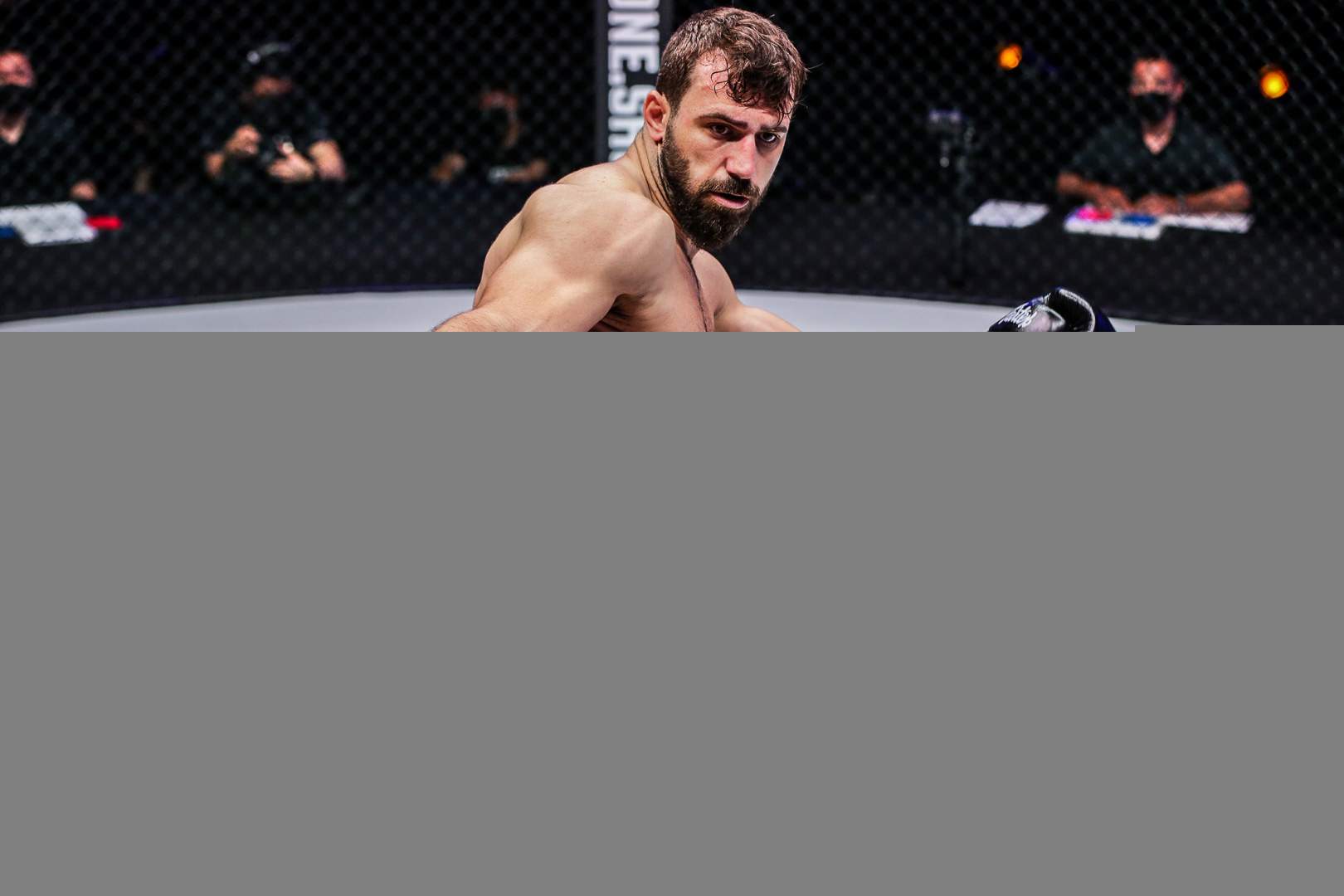 Andrei Stoica in ring