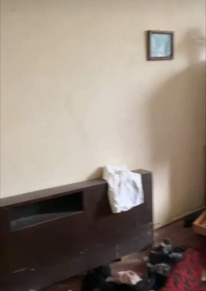 Ce au găsit polițiștii într-un apartament din Centrul Vechi, în Botoșani. Totul a fost filmat