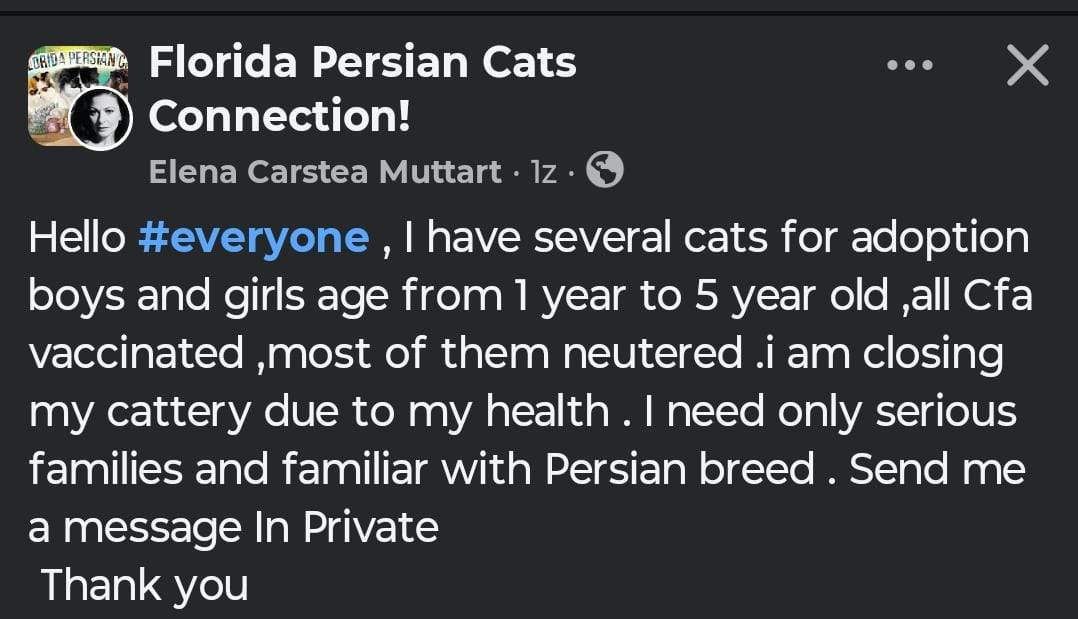 Elena Carstea inchide crescatoria de pisici
