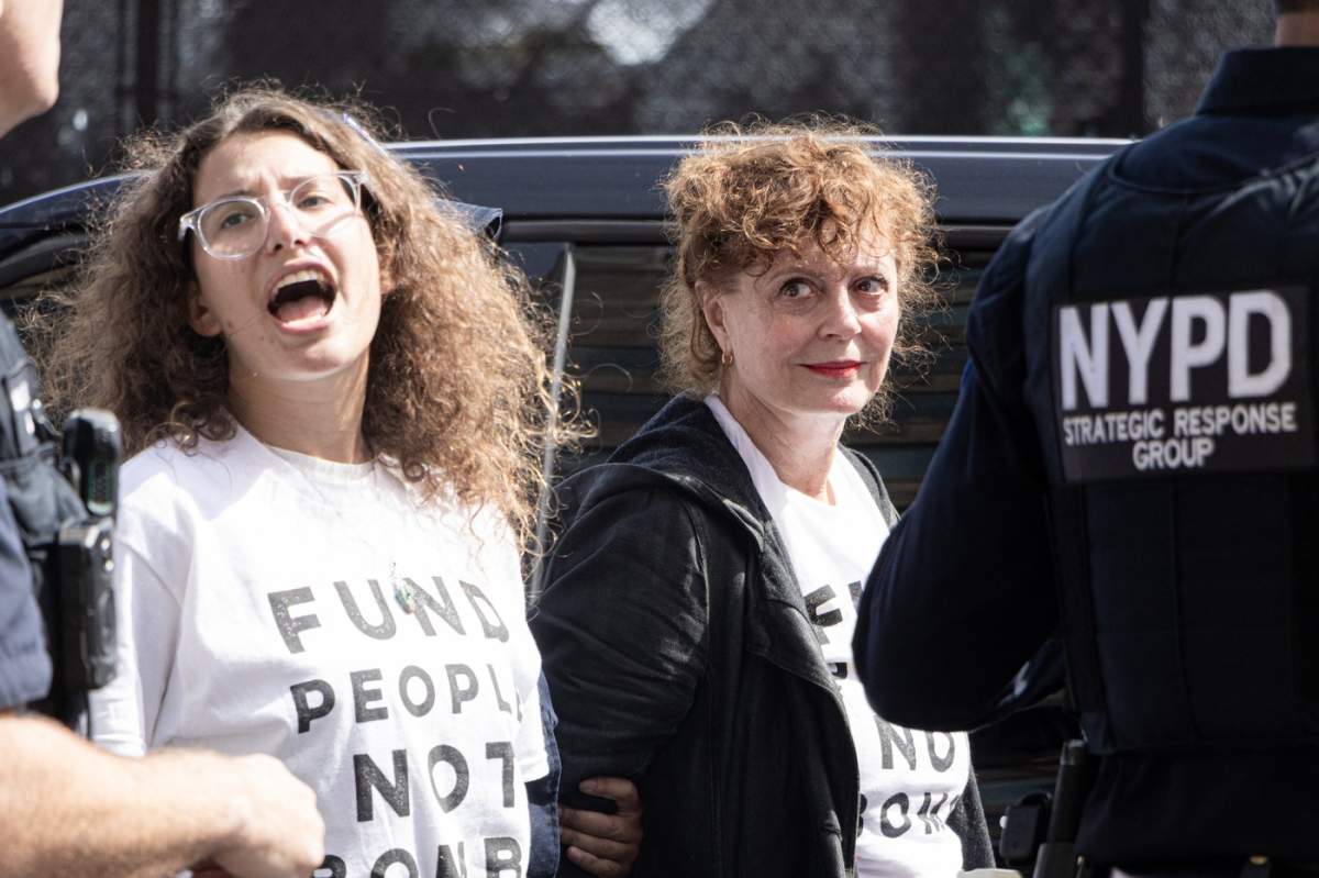 susan sarandon