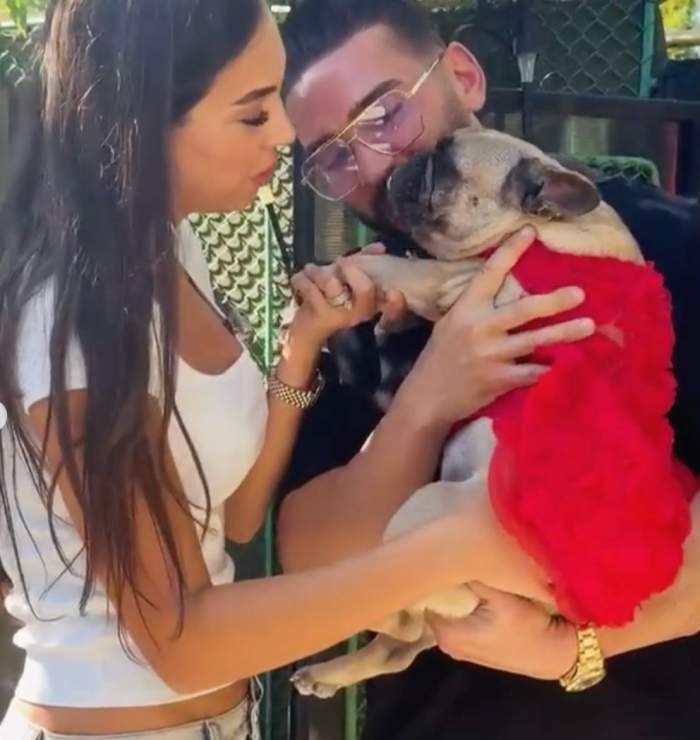 Familia lui Dorian Popa și a soției s-a mărit! Cei doi au adoptat o cățelușă. Povestea emoționantă a patrupedului