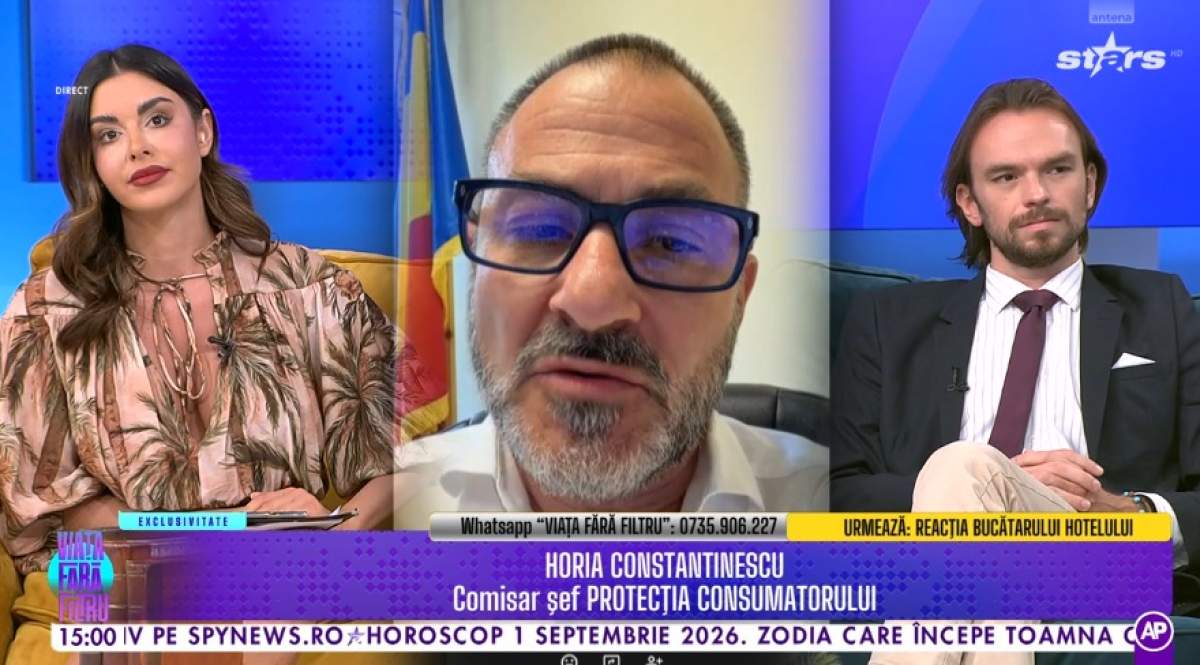 Horia Constantinescu, declarații