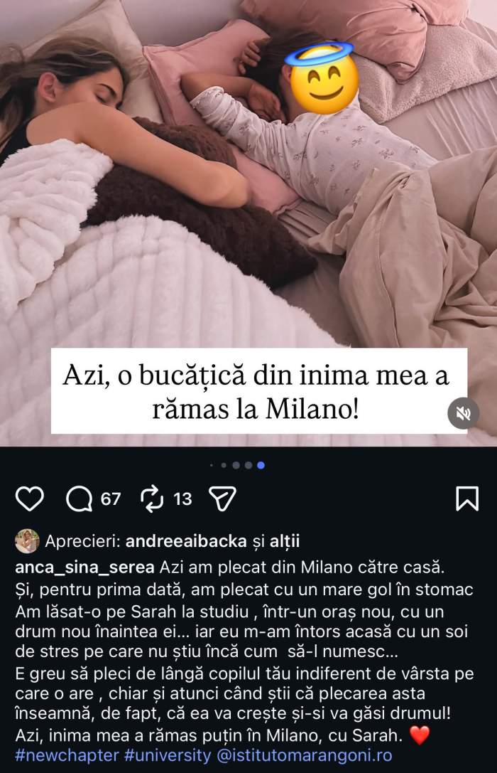 Mesajul Ancăi Serea