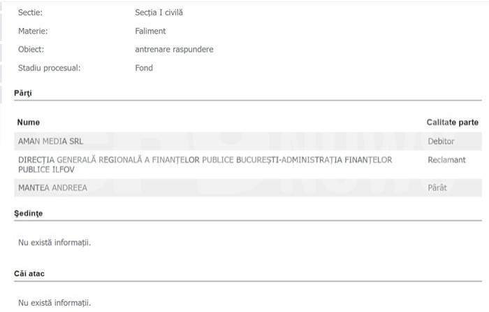 Andreea Mantea, acuzată că și-ar fi falimentat cu bună știință propria firmă. Miza uriașă a procesului | DOCUMENTE EXCLUSIVE