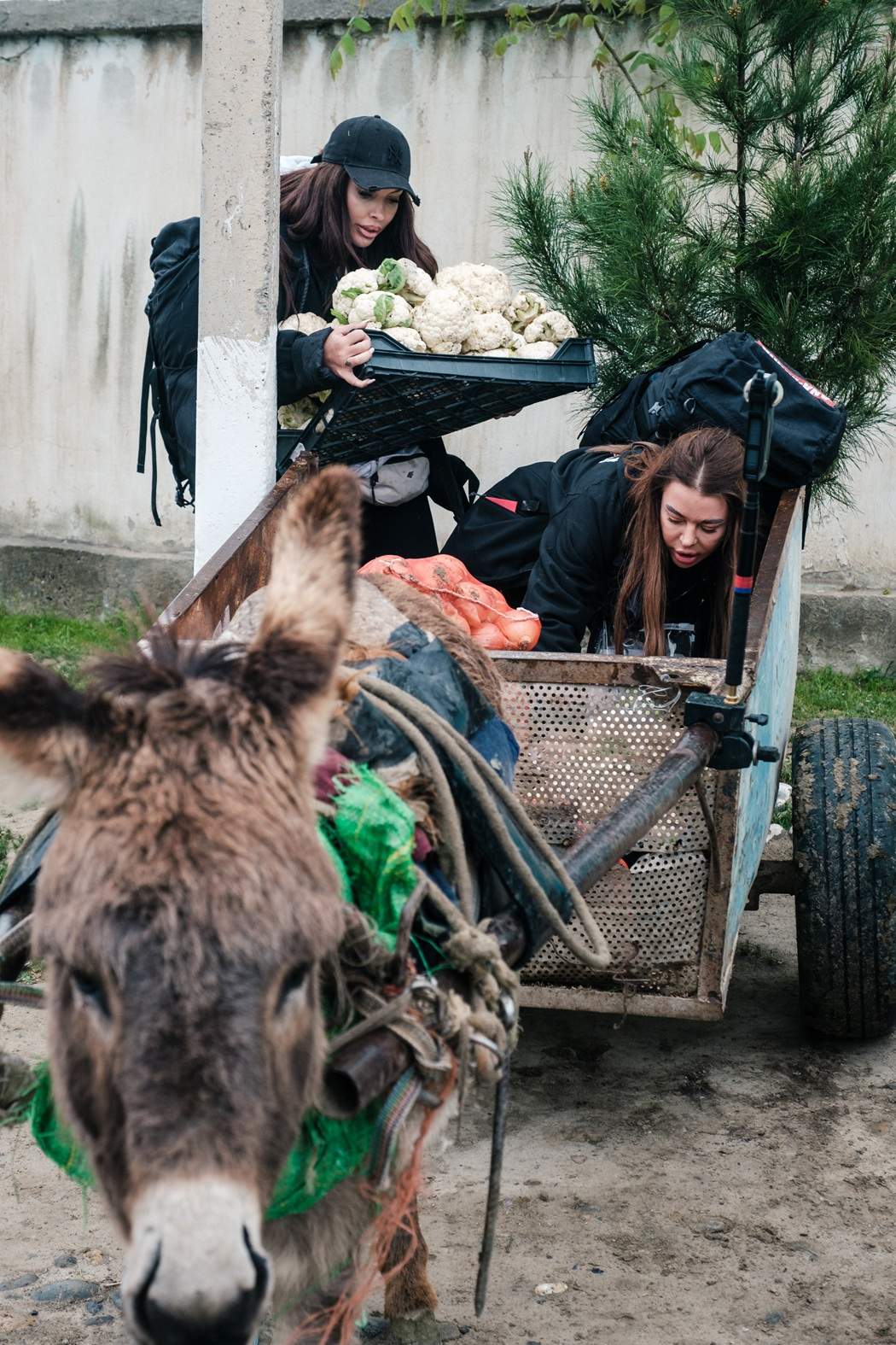 Cea de-a doua ediție Asia Express – Drumul Mătăsii, lider incontestabil de audiență! Diseară, noapte complicată pentru Loredana Chivu în Uzbekistan: „Mă ia panica pe străzile astea! De trei ore căutăm cazare și nu am găsit nimic!”